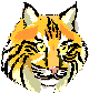 the logo of the Lynx browser